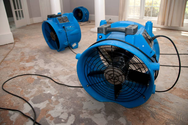 Best Sewage cleanup and water damage restoration  in Six Shooter Canyon, AZ
